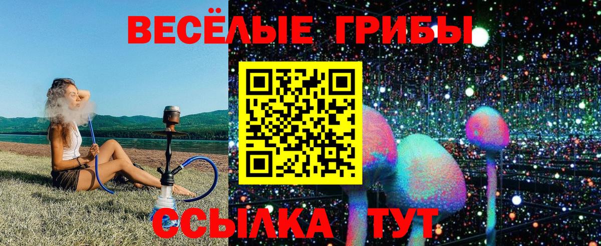 Псилоцибиновые грибы Psilocybine cubensis  Вход с VPN  Псилоцибиновые грибы мухоморы  Бор 