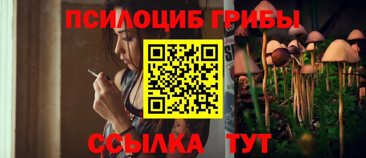 Псилоцибиновые грибы прущие грибы Бор